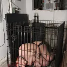 Andy San Dimas in 'White Room with Andy'