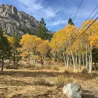 Kelly Madison in 'Breastfully Yours'