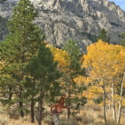 Kelly Madison in 'Breastfully Yours'