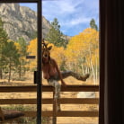 Kelly Madison in 'Breastfully Yours'