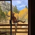 Kelly Madison in 'Breastfully Yours'