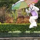 Kelly Madison in 'Bunny Luvs Kelly'