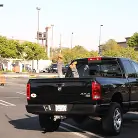 Kelly Madison in 'Cinco De Mayo'