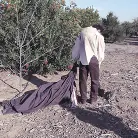 Kelly Madison in 'Death of Nurse Kelly'