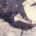 Kelly Madison in 'Death of Nurse Kelly'