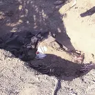 Kelly Madison in 'Death of Nurse Kelly'