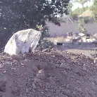 Kelly Madison in 'Death of Nurse Kelly'