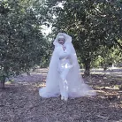 Kelly Madison in 'Death of Nurse Kelly'