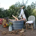 Kelly Madison in 'Horsin Around'