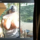 Kelly Madison in 'I Do Windows'