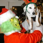 Kelly Madison in 'Mr. Grinch'