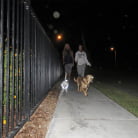 Kelly Madison in 'Real Love with Brandi Love'