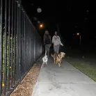 Kelly Madison in 'Real Love with Brandi Love'