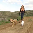 Kelly Madison in 'Titty Trecking'