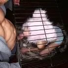 Odette Delacroix in 'Break My Hymen 4'