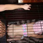 Odette Delacroix in 'Break My Hymen 4'