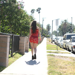 Walk the Streets 2