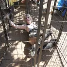 Indigo August in 'Thou Shalt Not... 2'