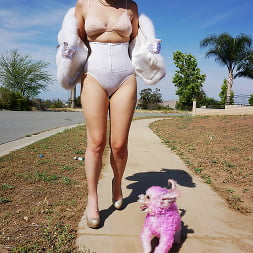 Pinup Doll