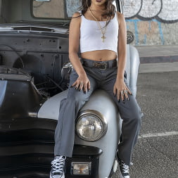 Bang or Bust 4
