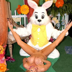 Bunny Fucker