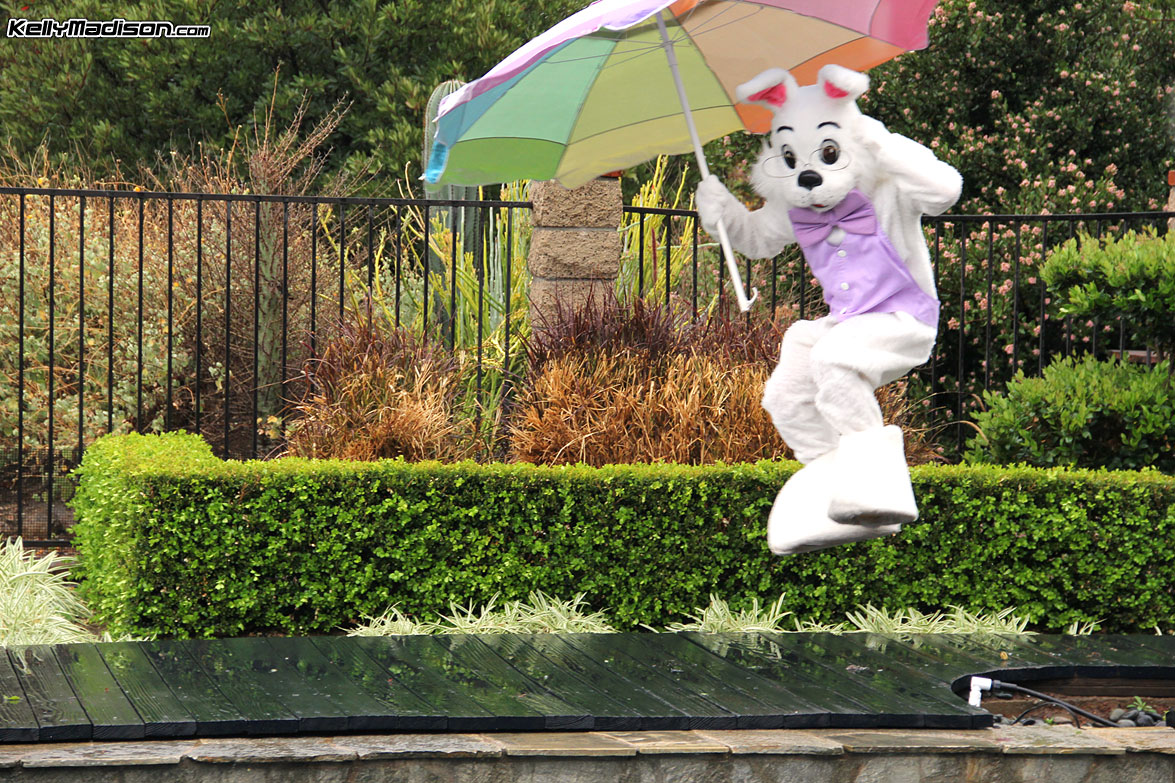 Bunny Luvs Kelly