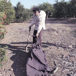 Death of Nurse Kelly