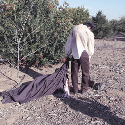 Death of Nurse Kelly