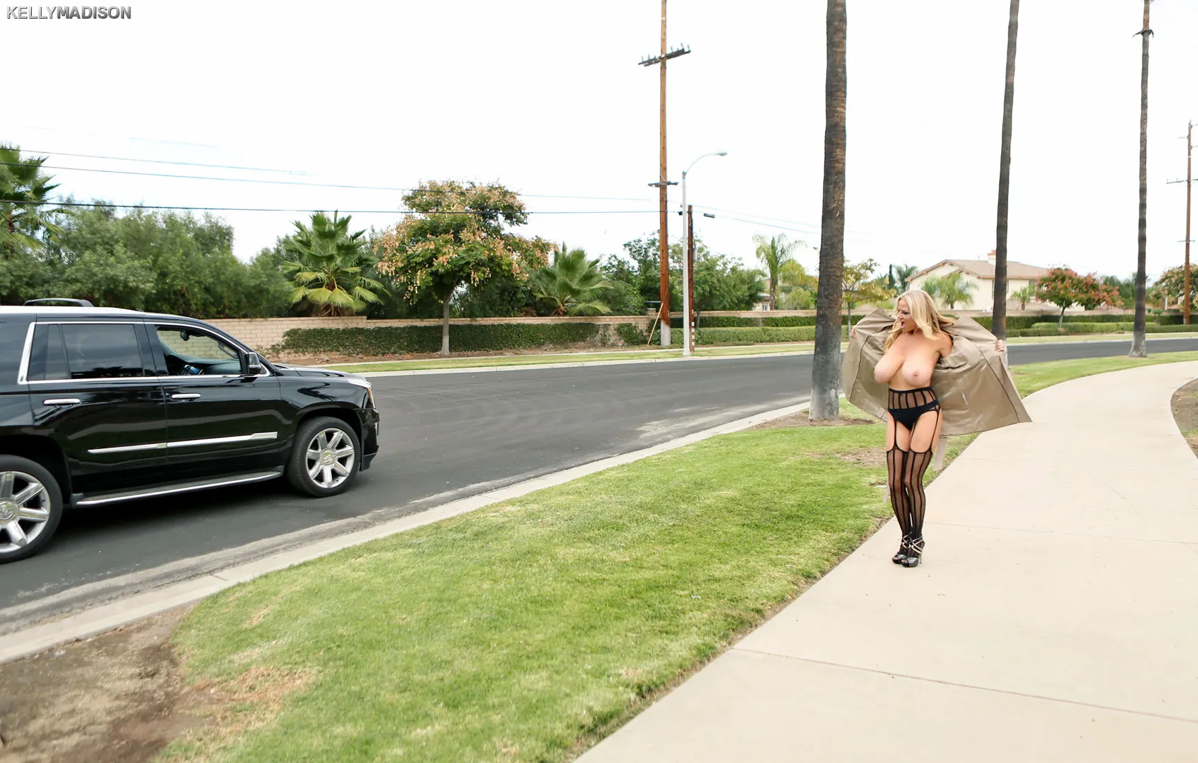 Kelly Madison - Interruptor intermitente | Picture (3)