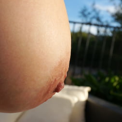 Milked Hard In The Yard