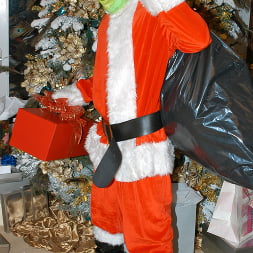 Mr. Grinch