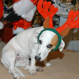 Mr. Grinch