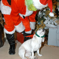 Mr. Grinch