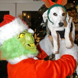 Mr. Grinch