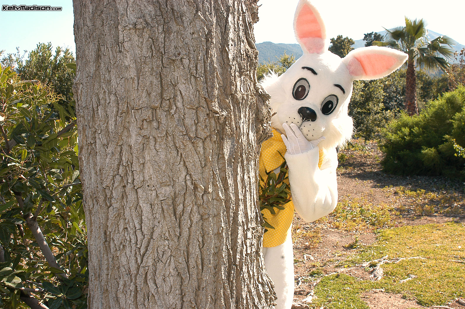 Shootin' Wabbits