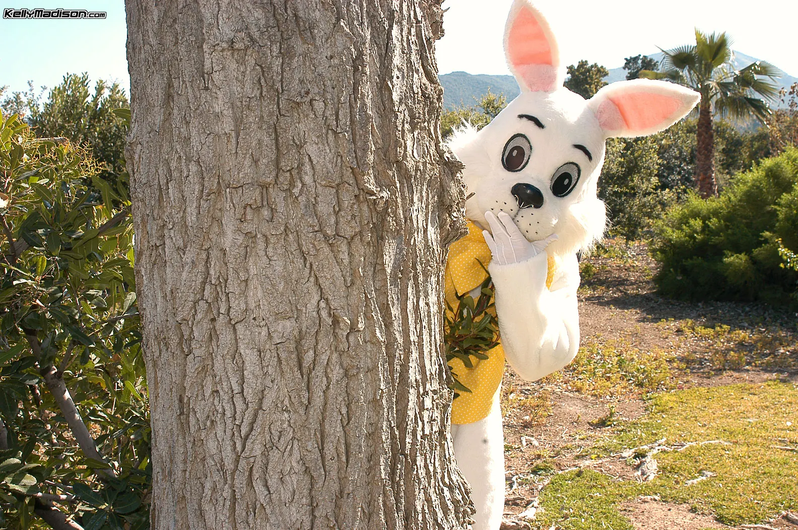 Kelly Madison - Disparando wabbits | Picture (4)