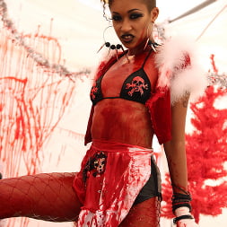 XXX-MASsacre