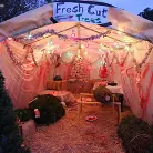 Skin Diamond in 'XXX-MASsacre'